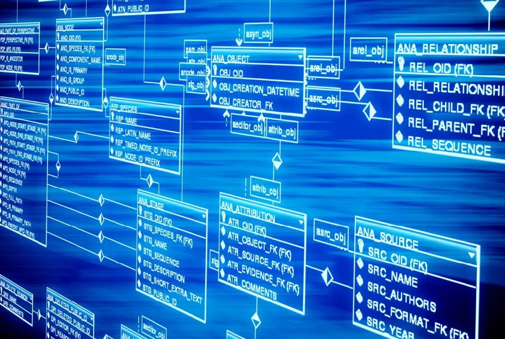 ​数据库类型有哪些？