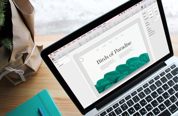 ​网站建设一般有哪些类型？